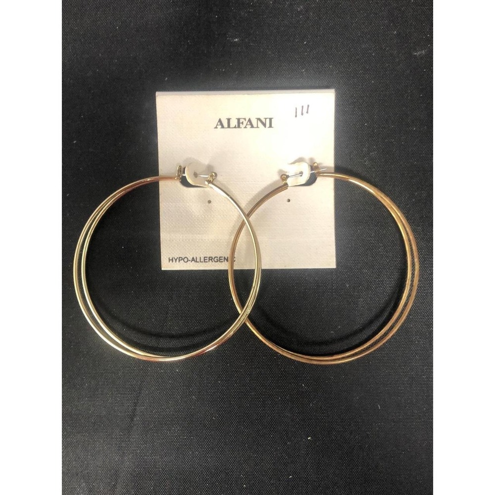 NWT Alfani Double Hoops Earrings